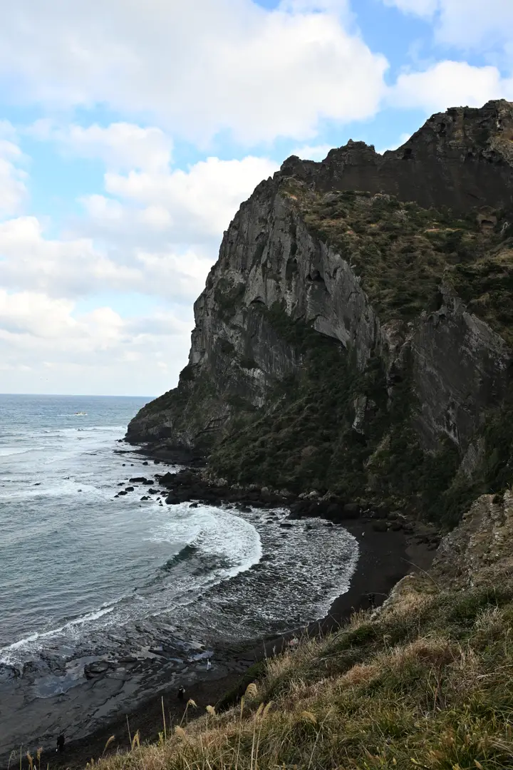 DSC 1450