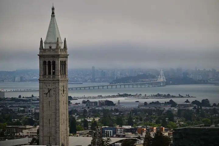 DSC 5667